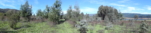 Yachting Point (Blowering Dam) Campground photo 5