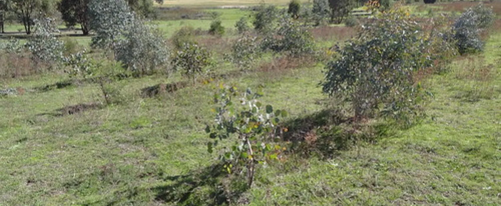 Yachting Point (Blowering Dam) Campground