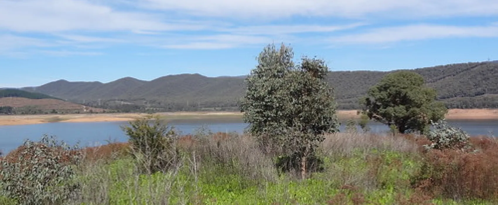 Yachting Point (Blowering Dam) Campground