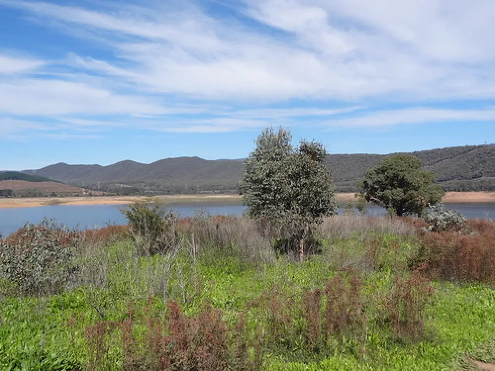 Yachting Point (Blowering Dam) Campground