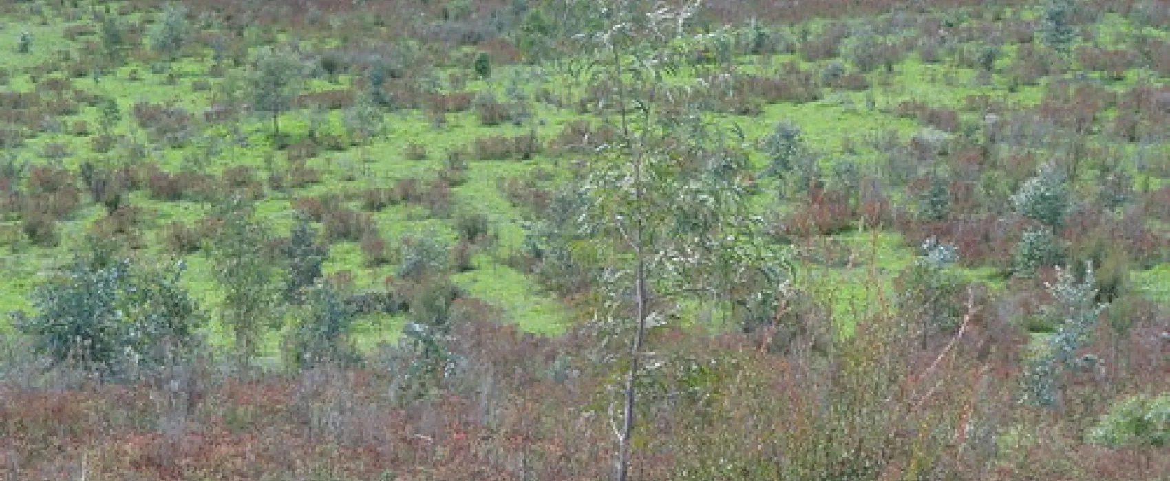 Yachting Point (Blowering Dam) Campground