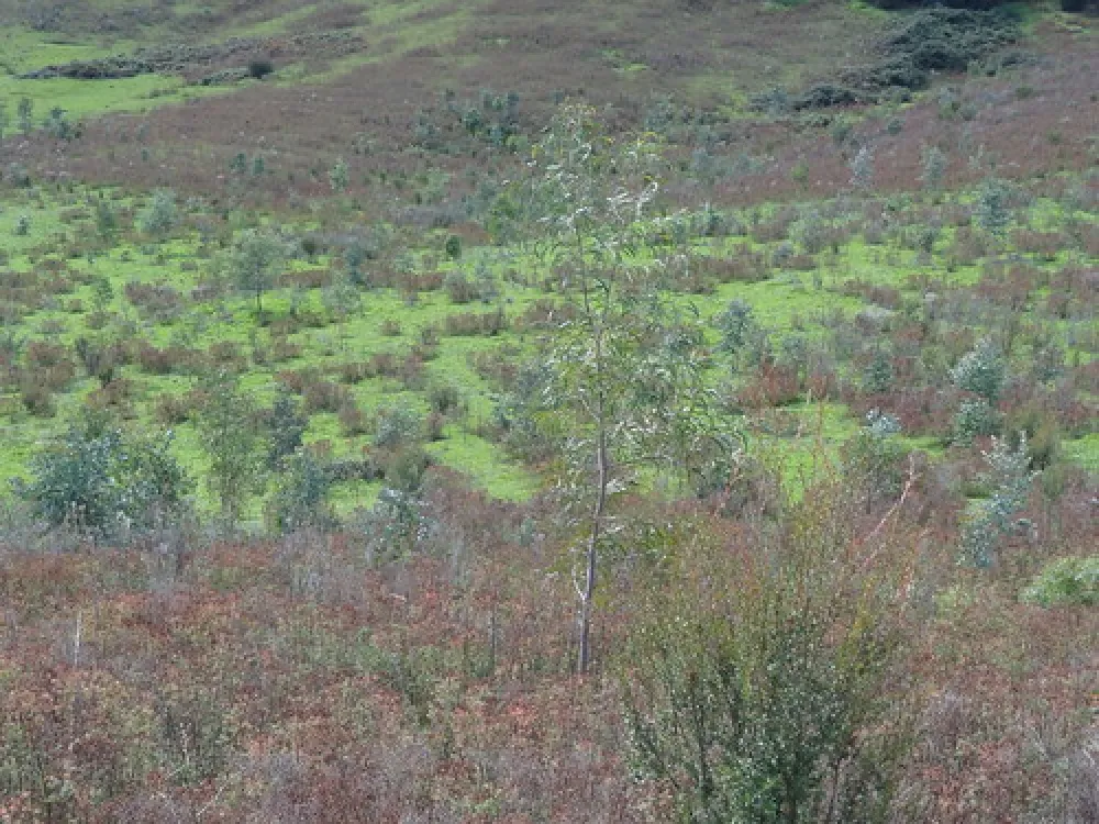 Yachting Point (Blowering Dam) Campground