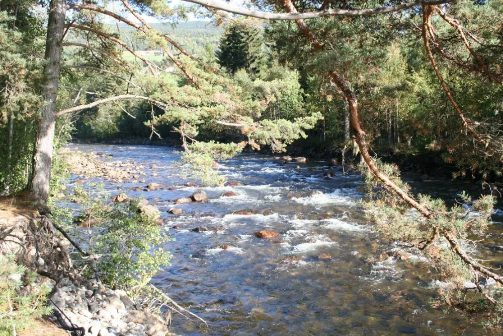 Sandviken Camping As