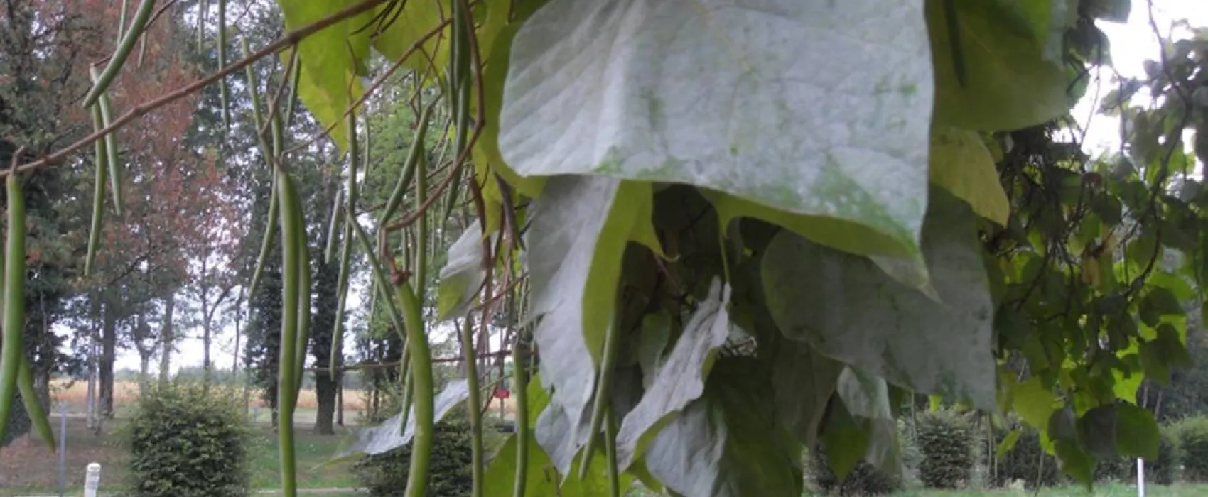 Camping La Fontaine aux Fées