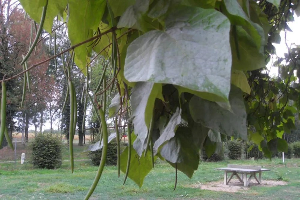 Camping La Fontaine aux Fées