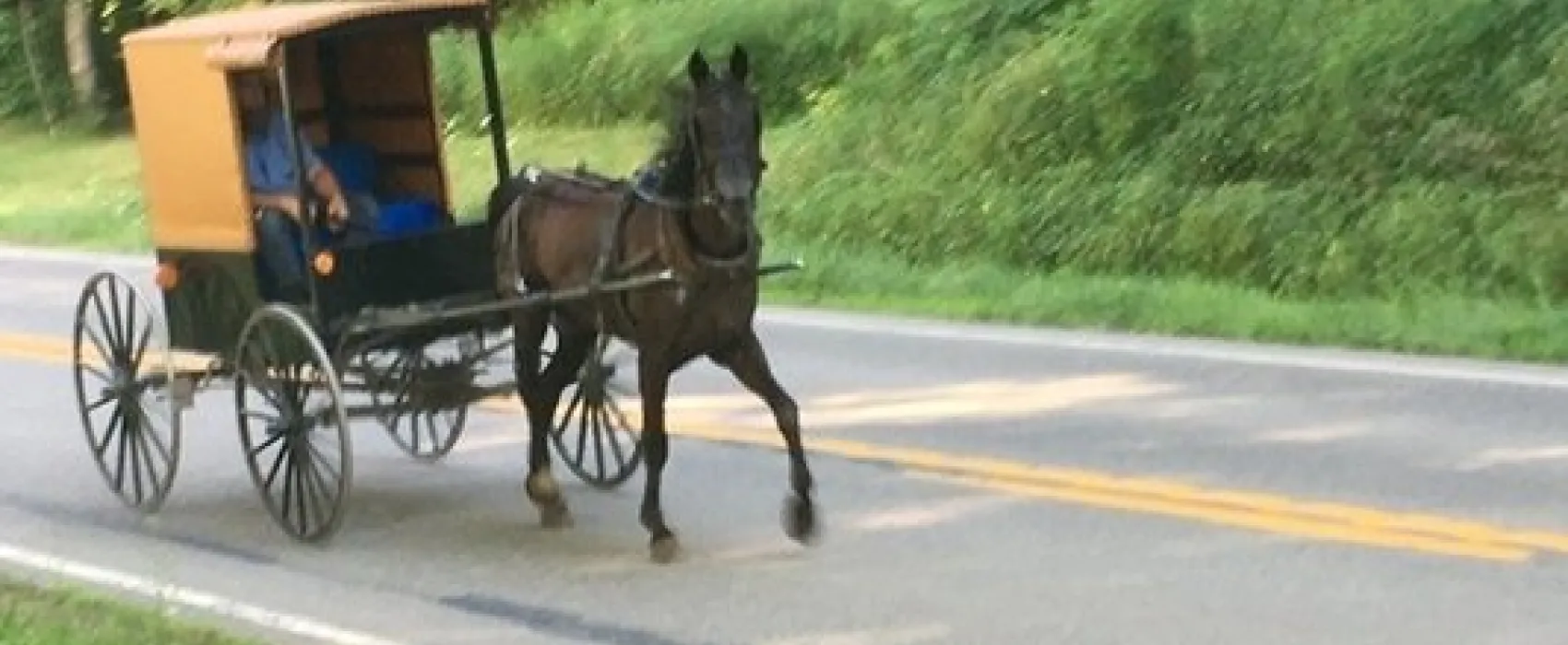 Mercer/Grove City KOA