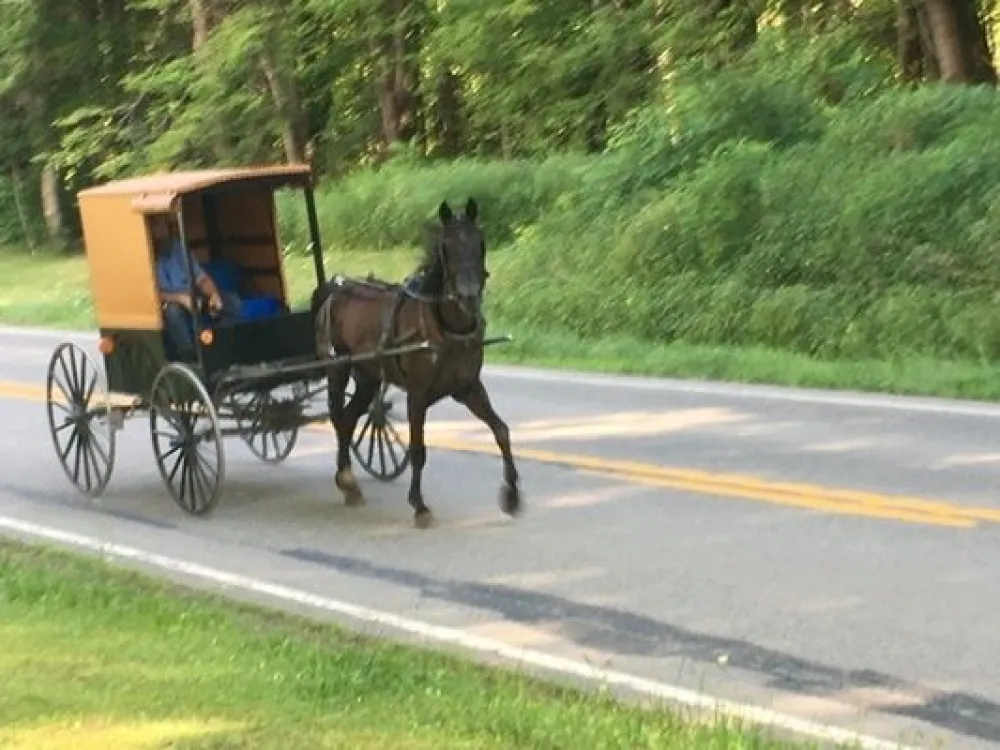 Mercer/Grove City KOA