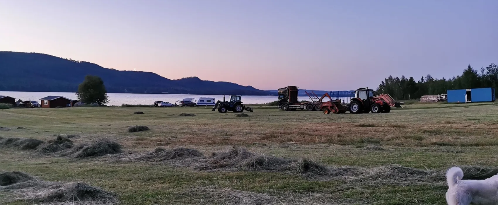 Åbackens Äventyrscamp