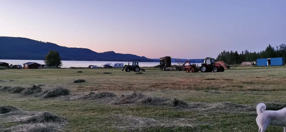 Åbackens Äventyrscamp