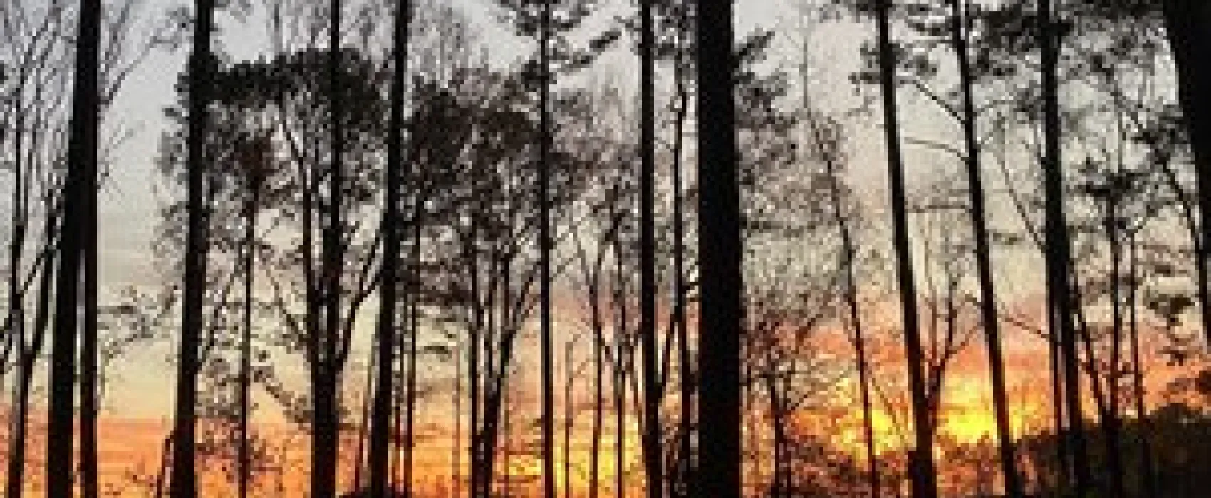 Joe Wheeler State Park