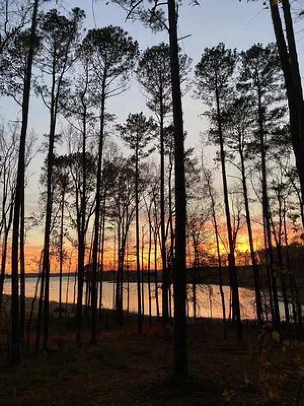 Joe Wheeler State Park