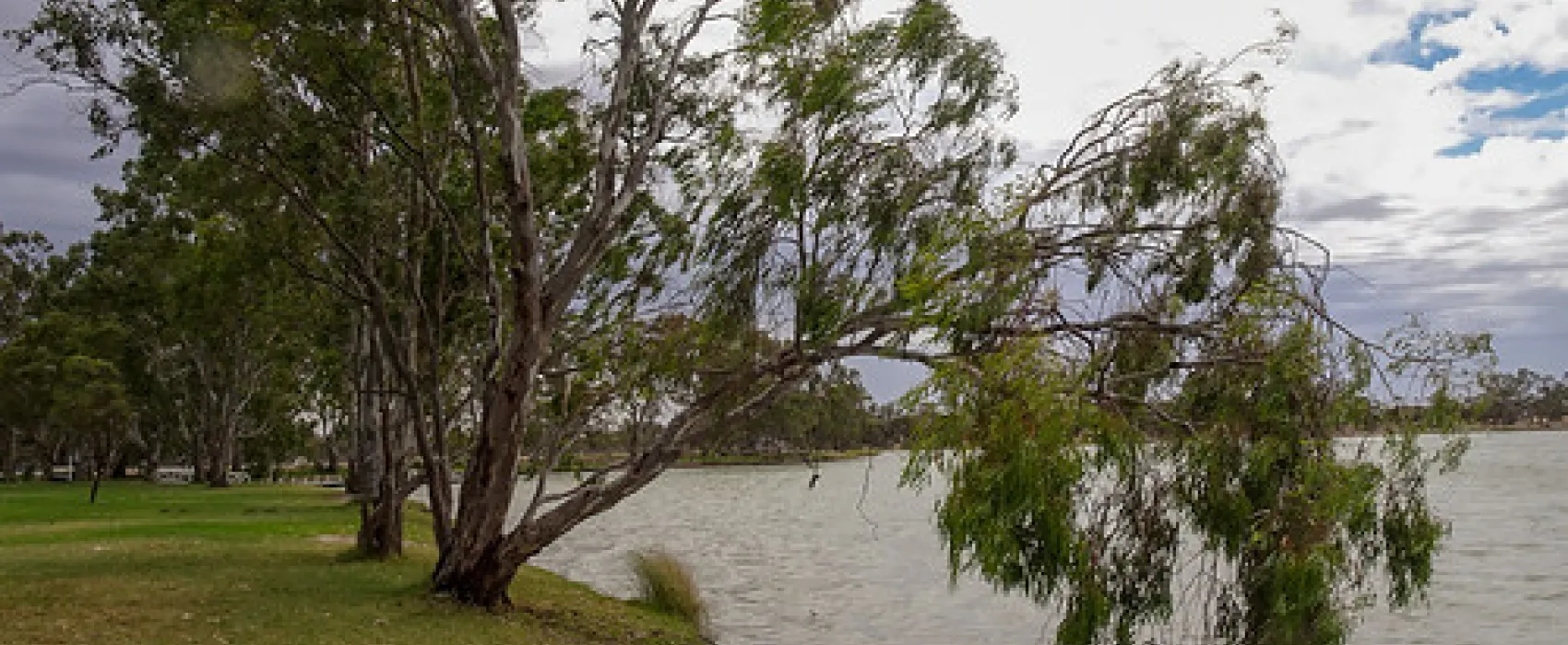 Lake Lascelles Campground