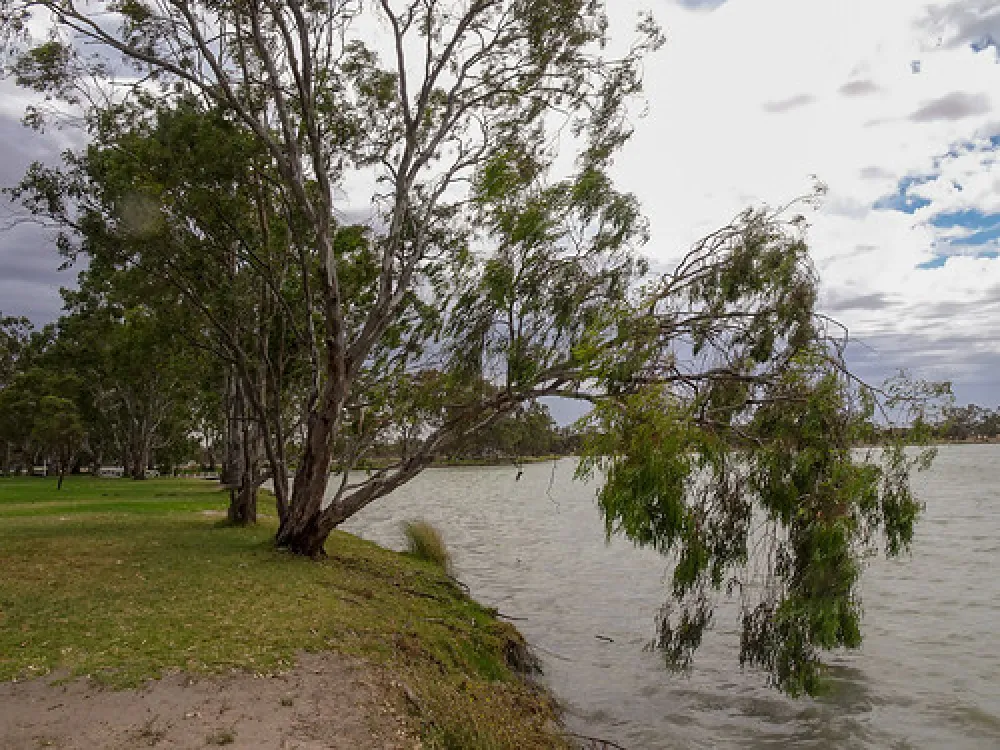 Lake Lascelles Campground