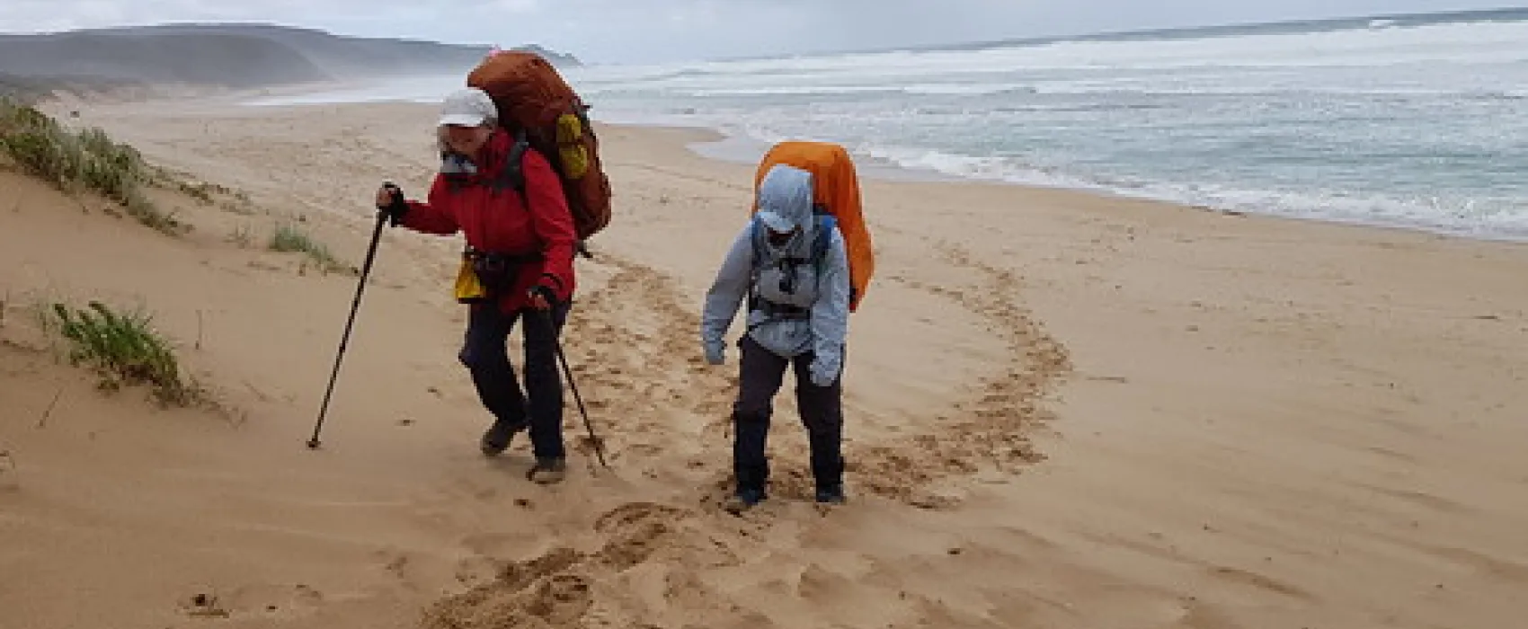Johanna Beach Campground