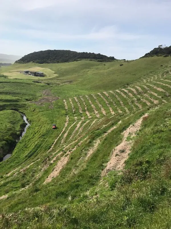 Johanna Beach Campground