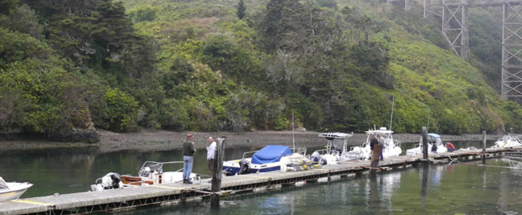 Albion River Campground