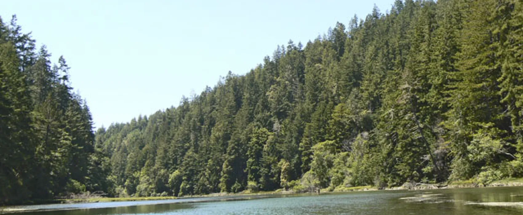 Albion River Campground