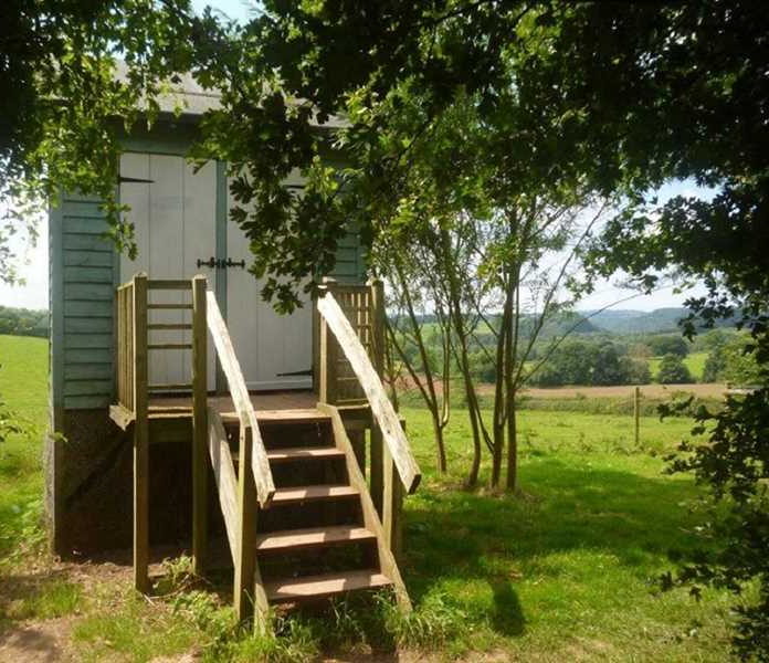 Farm on the Hill photo 5