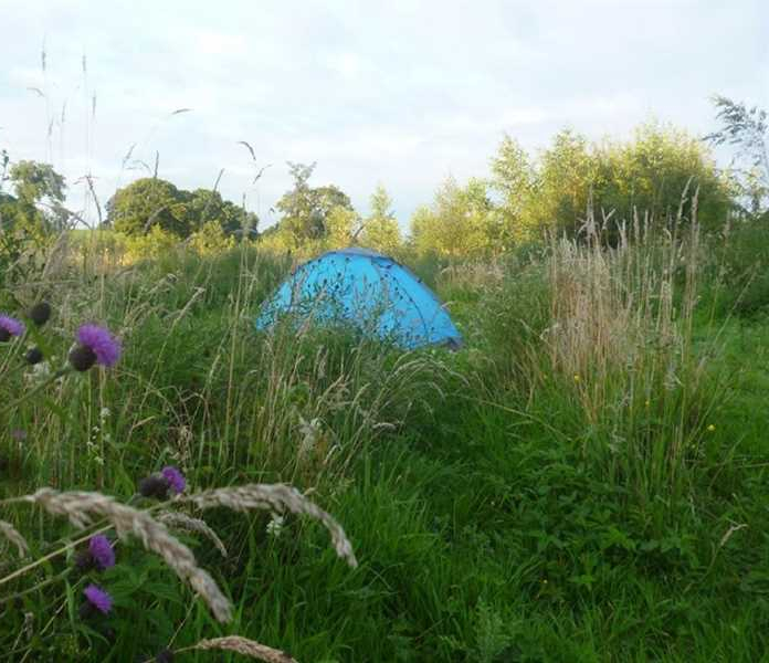 Farm on the Hill photo 2