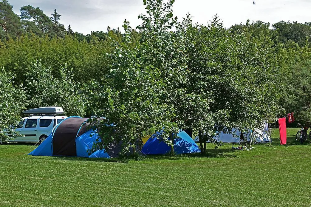 Campingpark Seedorf