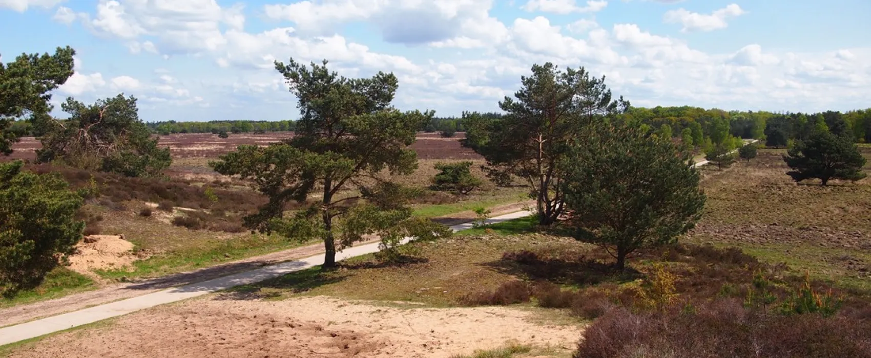 Kampeerterrein De Toekomst