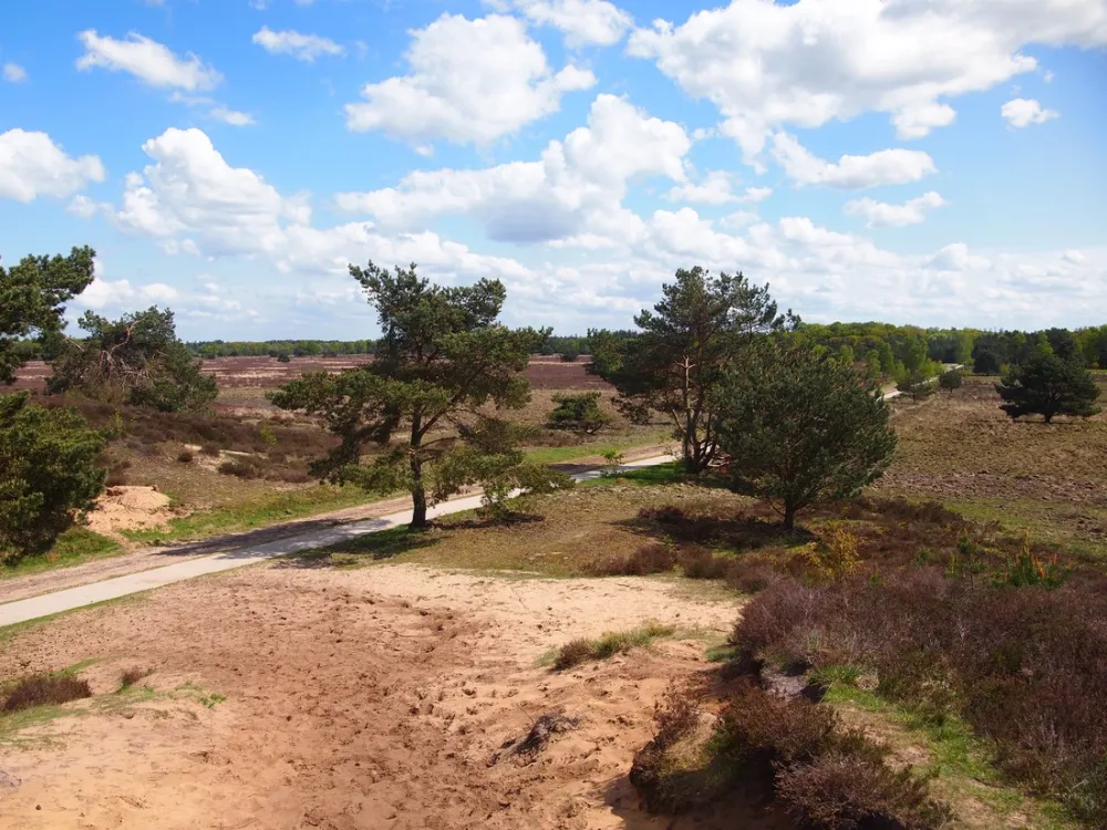 Kampeerterrein De Toekomst