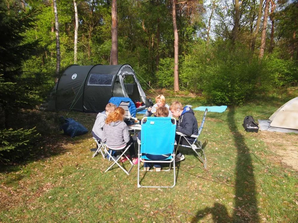 Kampeerterrein De Toekomst