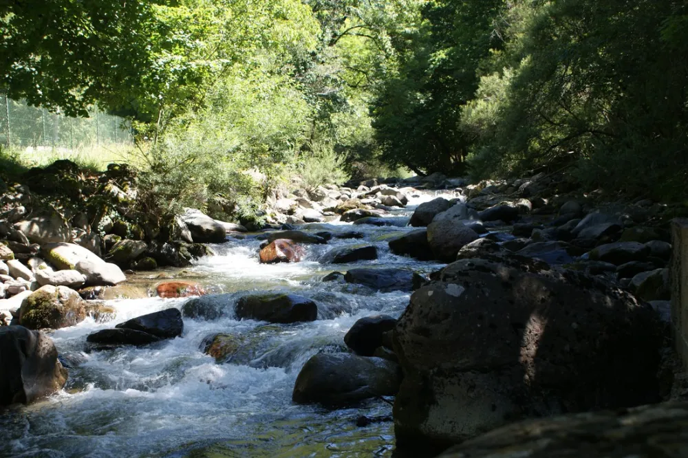 Municipal Le Gave d'Aspe