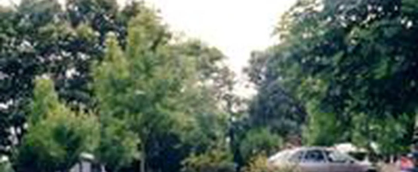 Camping aire naturelle de Vincent Pierre-henri