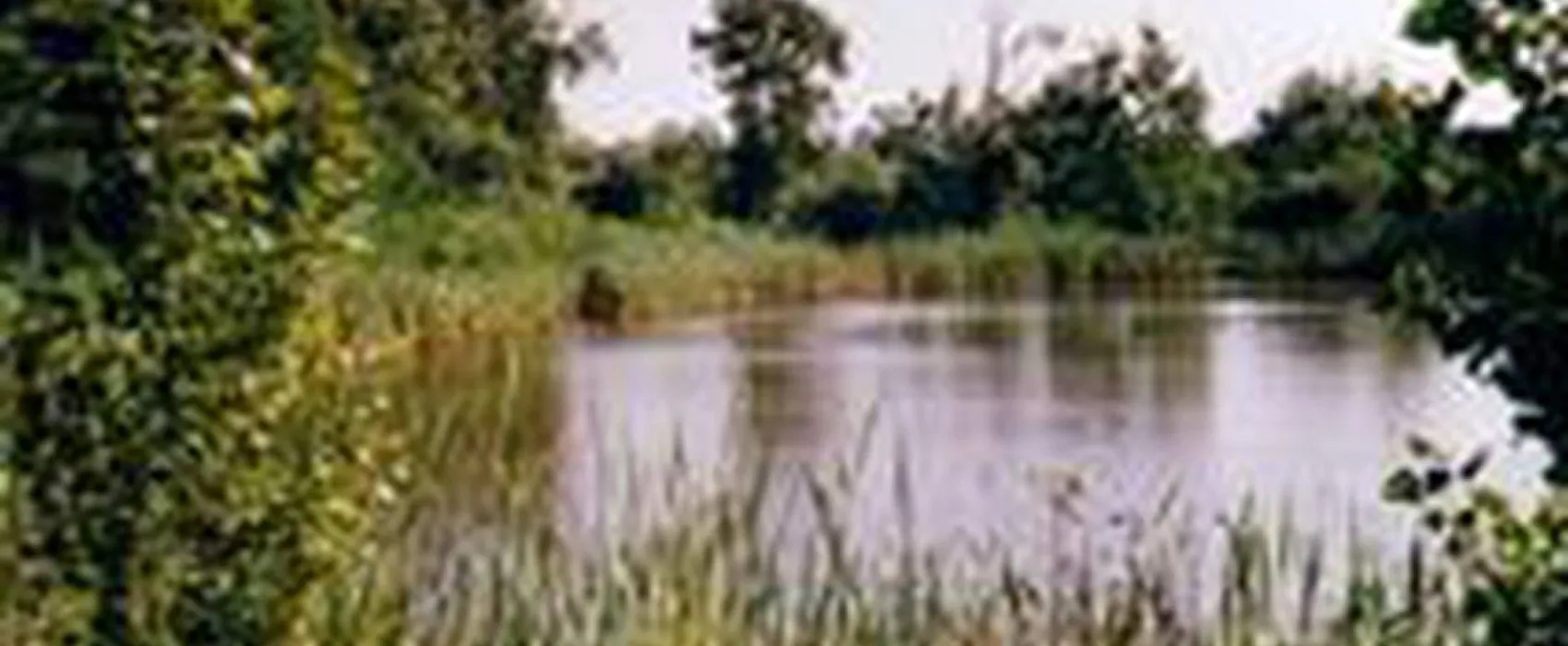 Camping aire naturelle de Vincent Pierre-henri