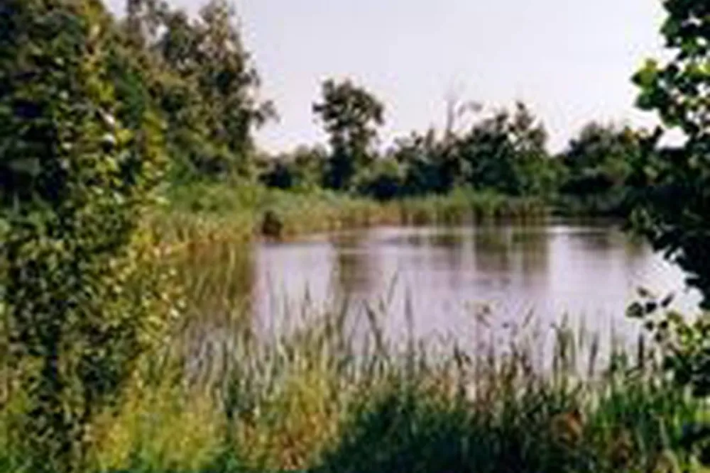 Camping aire naturelle de Vincent Pierre-henri