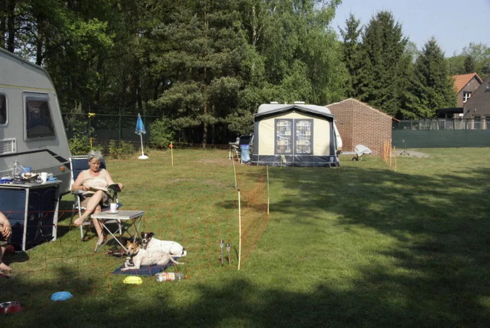 Minicamping 't Haasje