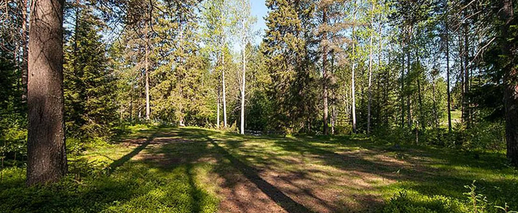 Bureå Camping