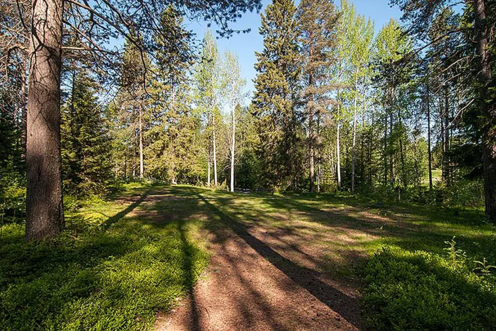 Bureå Camping
