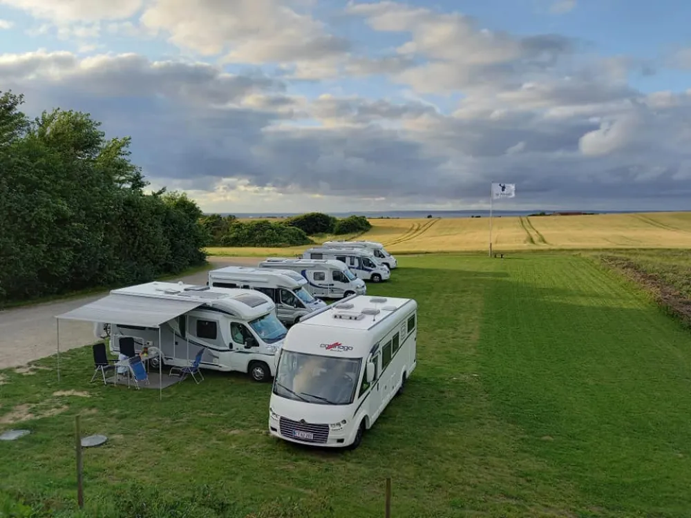 Nr. Nissum Håndbryg