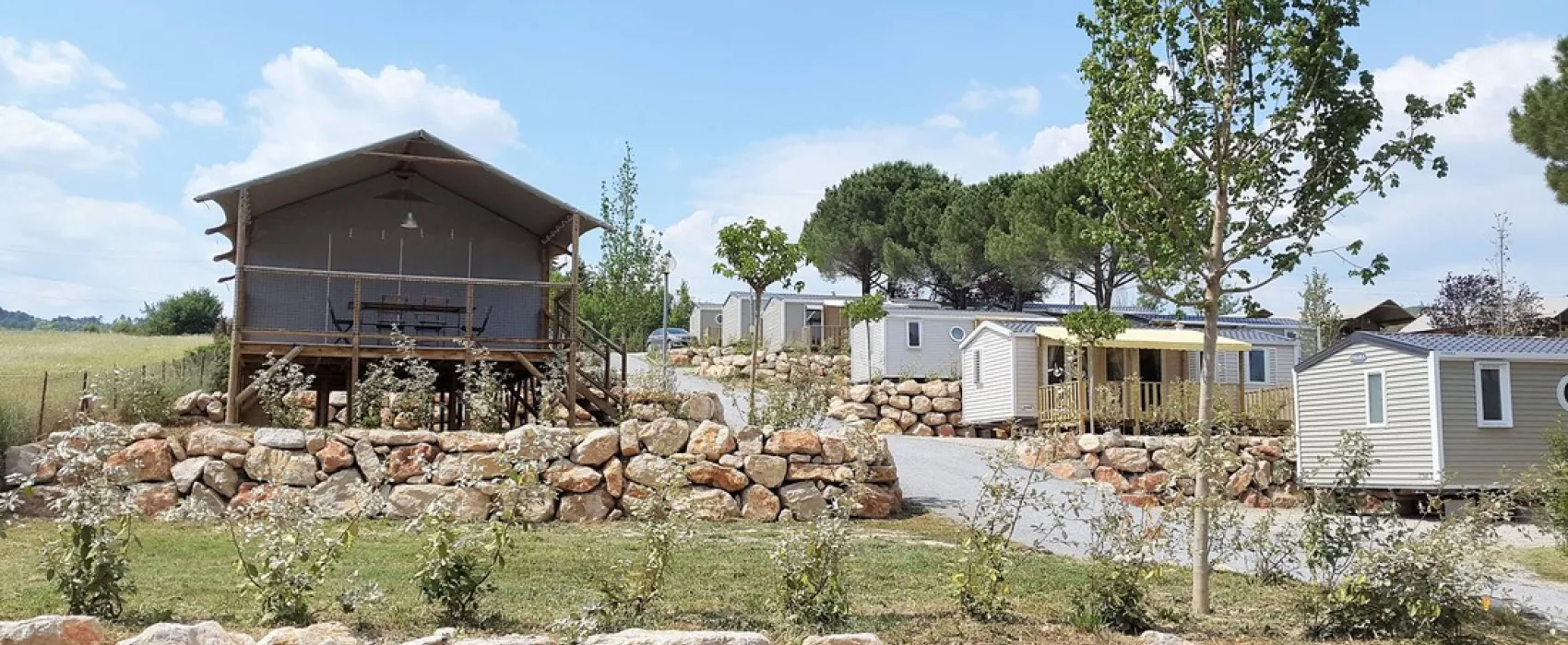 Flower Provence Vallée