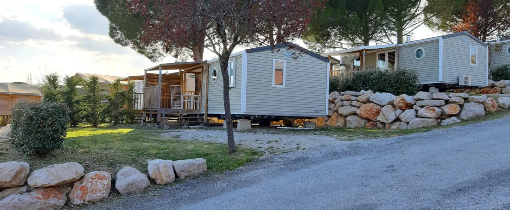 Flower Provence Vallée