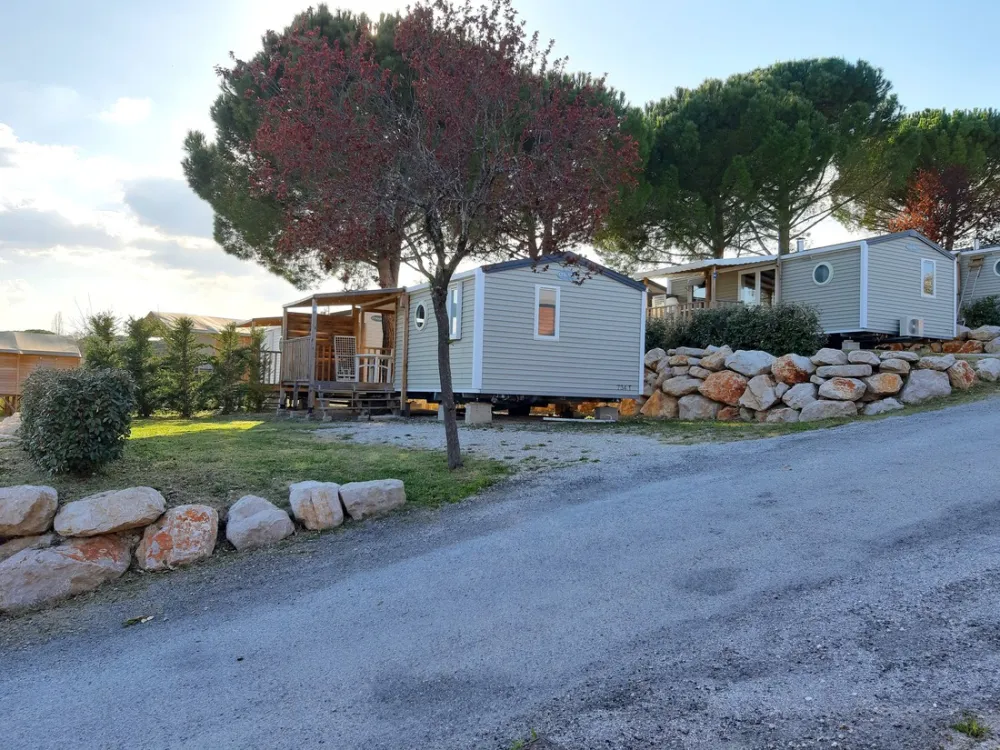 Flower Provence Vallée