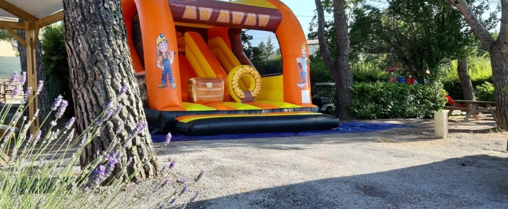 Flower Provence Vallée