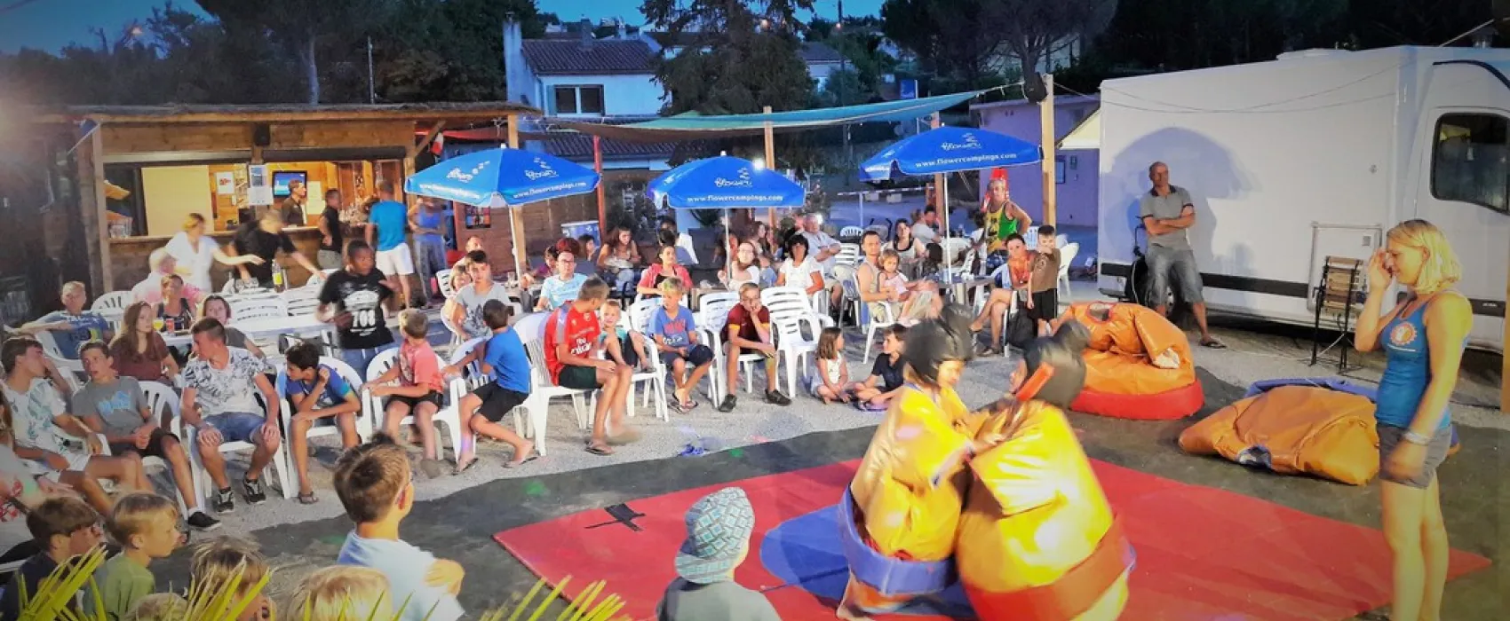 Flower Provence Vallée