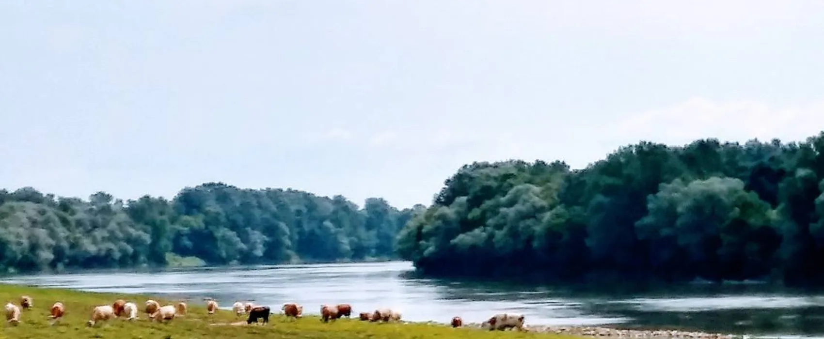 Campingplatz Zelen-Gaj