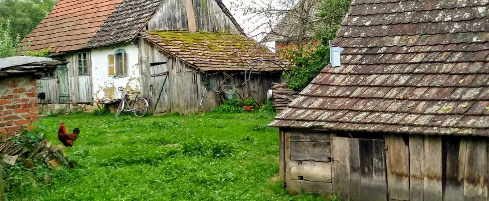 Campingplatz Zelen-Gaj