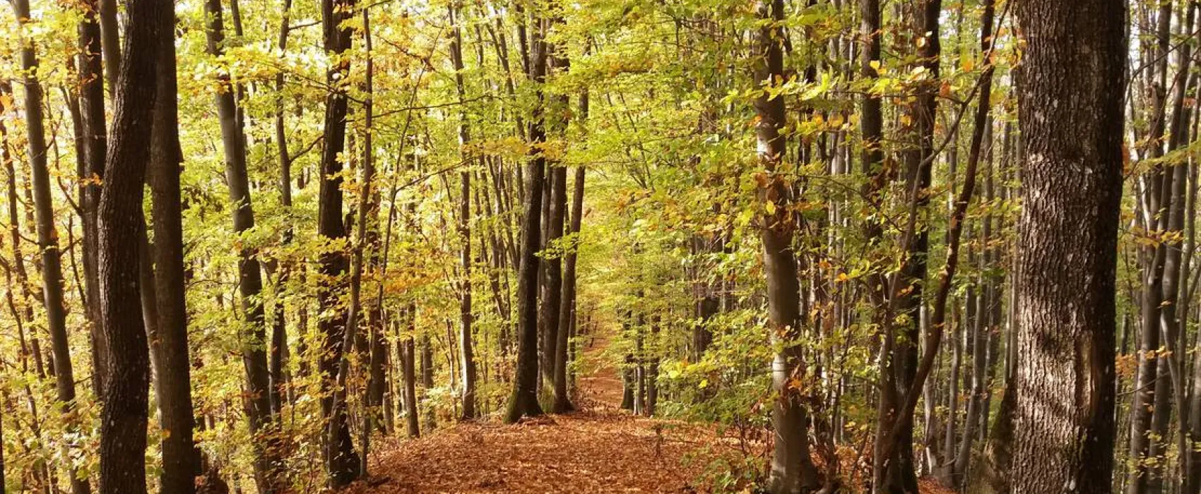 NEMEZA Outdoor Center