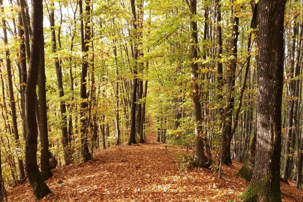 NEMEZA Outdoor Center