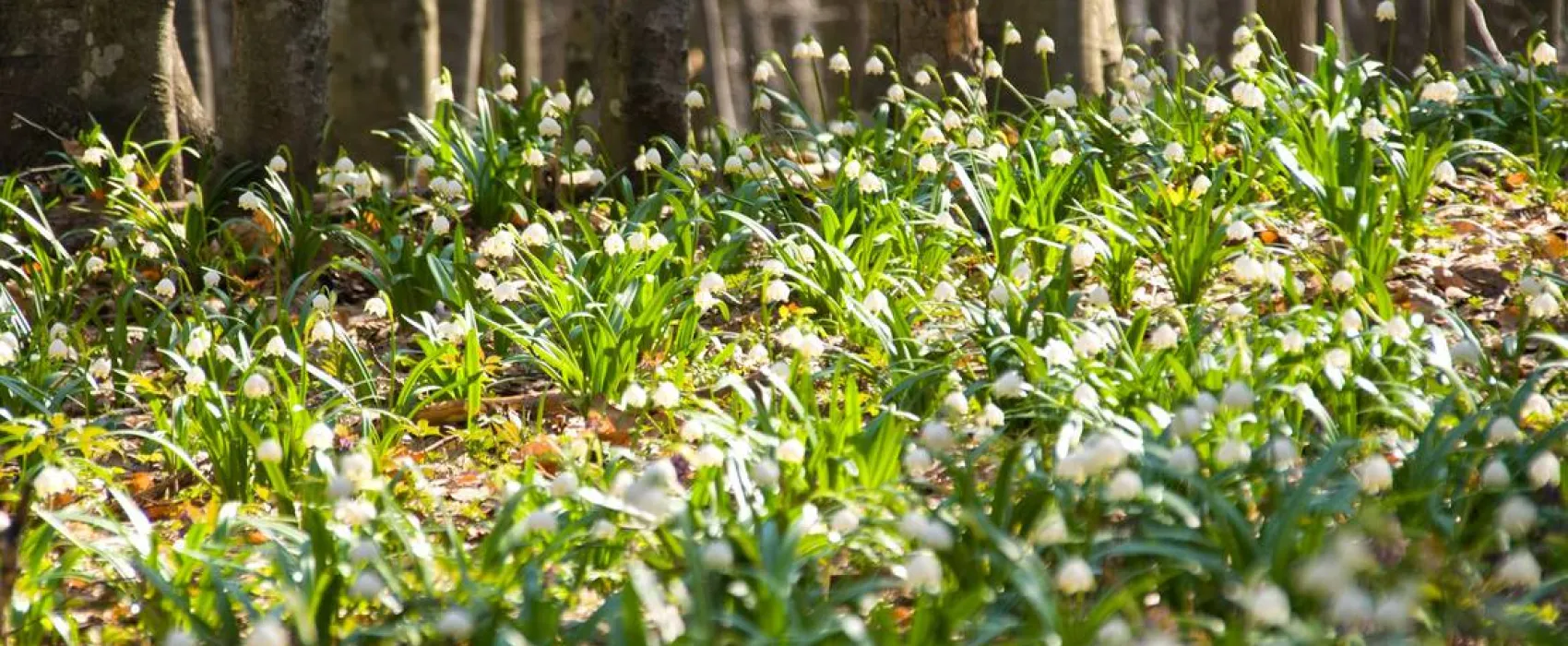 NEMEZA Outdoor Center