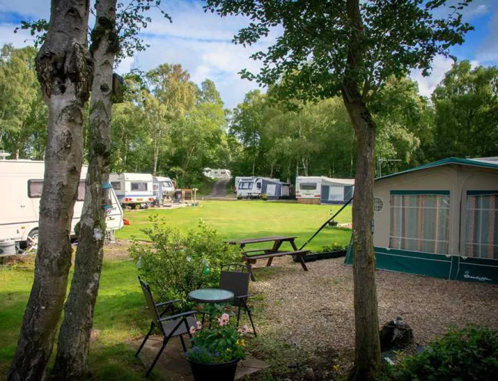 Fallowfield Dene Certificated Site