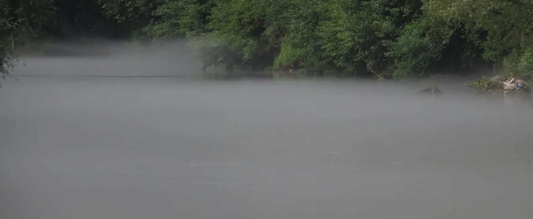 River Camp Matka -Salamander