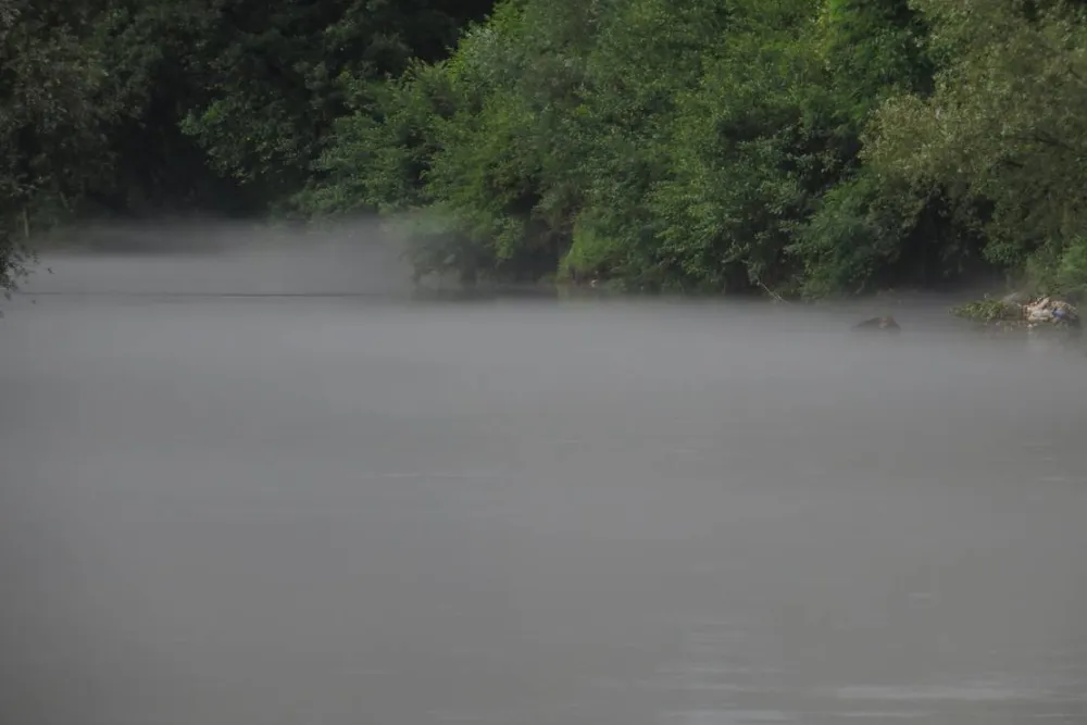 River Camp Matka -Salamander