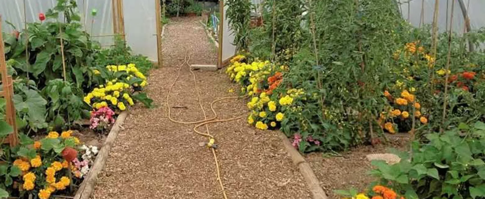 West Field Farm Camping