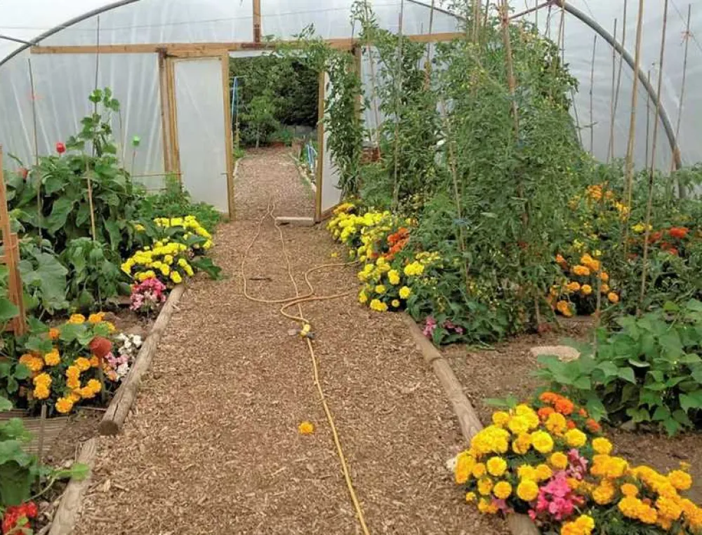 West Field Farm Camping